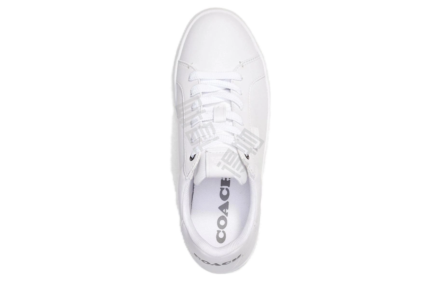 COACH Lowline