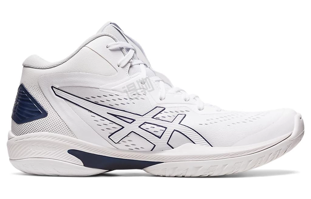 Asics Gel-Hoop V15