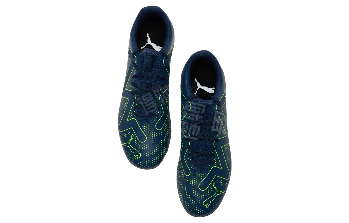 PUMA MG