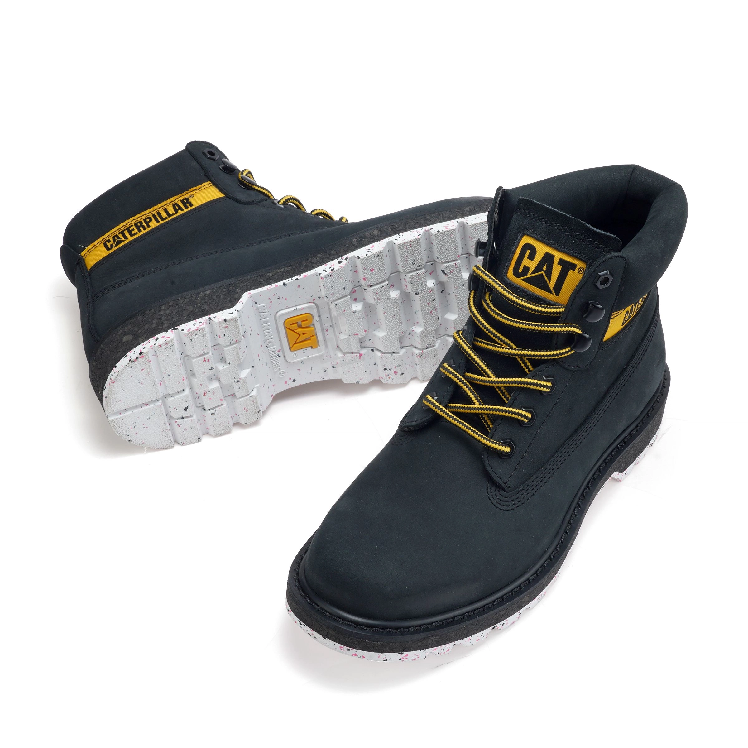 CAT E Colorado SS23