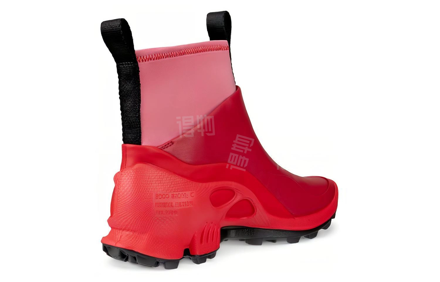 Natacha Ramsay-Levi x ecco Biom C Trail