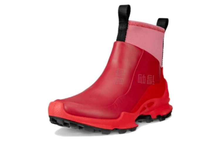 Natacha Ramsay-Levi x ecco Biom C Trail