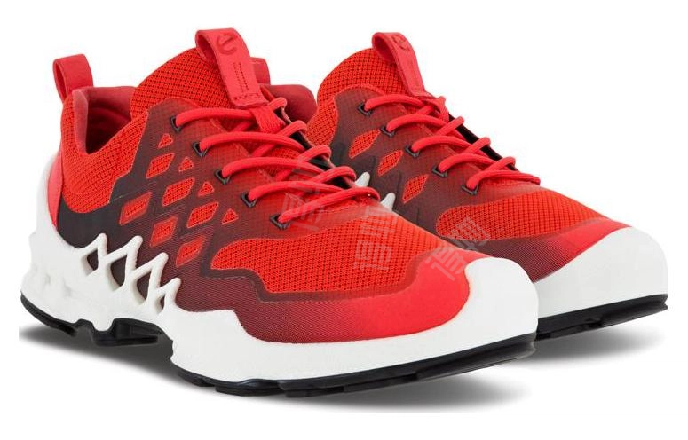 ecco BIOM AEX
