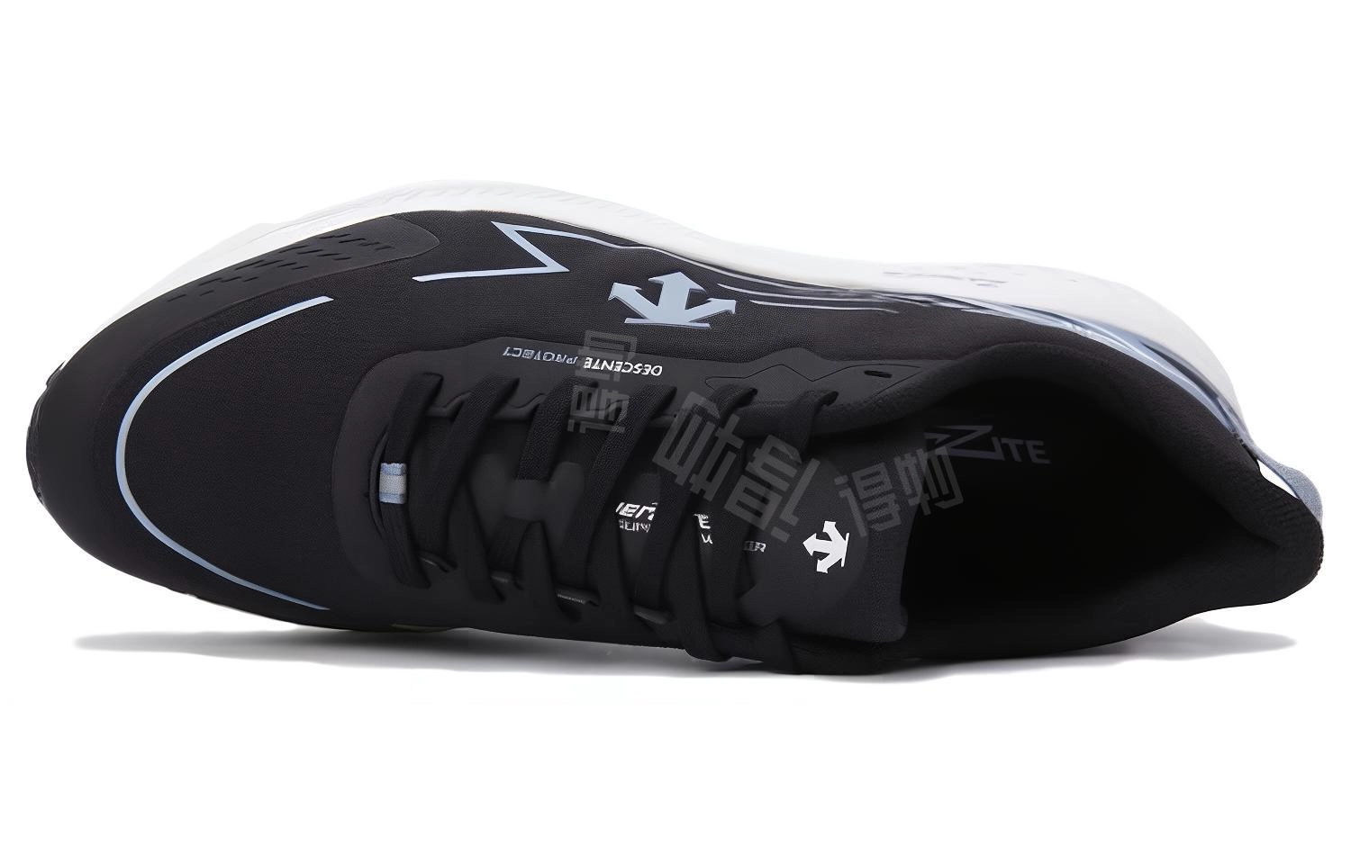 DESCENTE V2