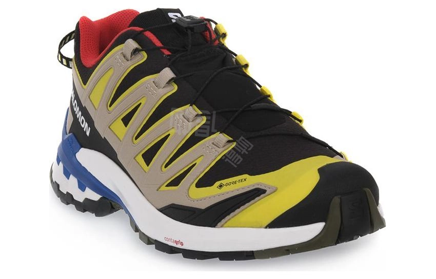 SALOMON XA Pro 3D V9