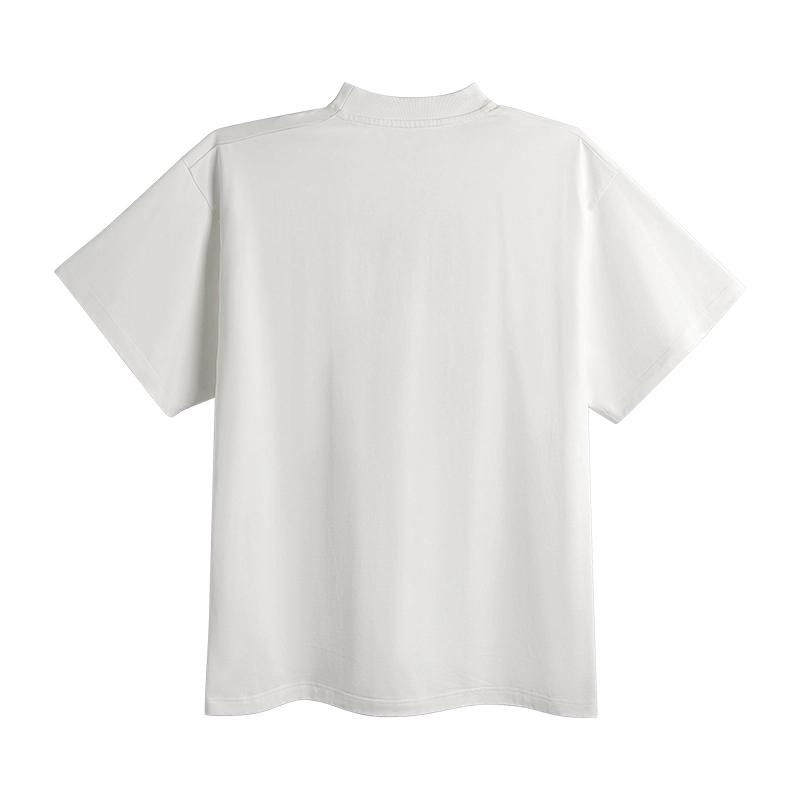 DBW DOUBLEWIN T