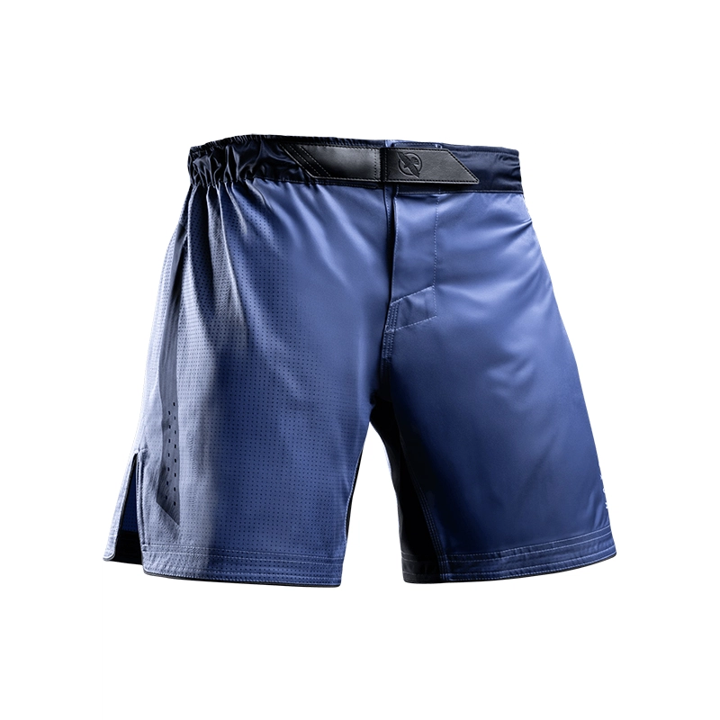 HAYABUSA MMA