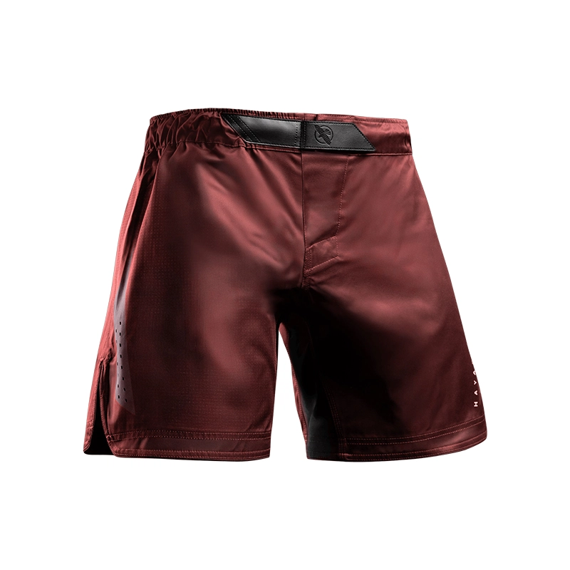 HAYABUSA MMA