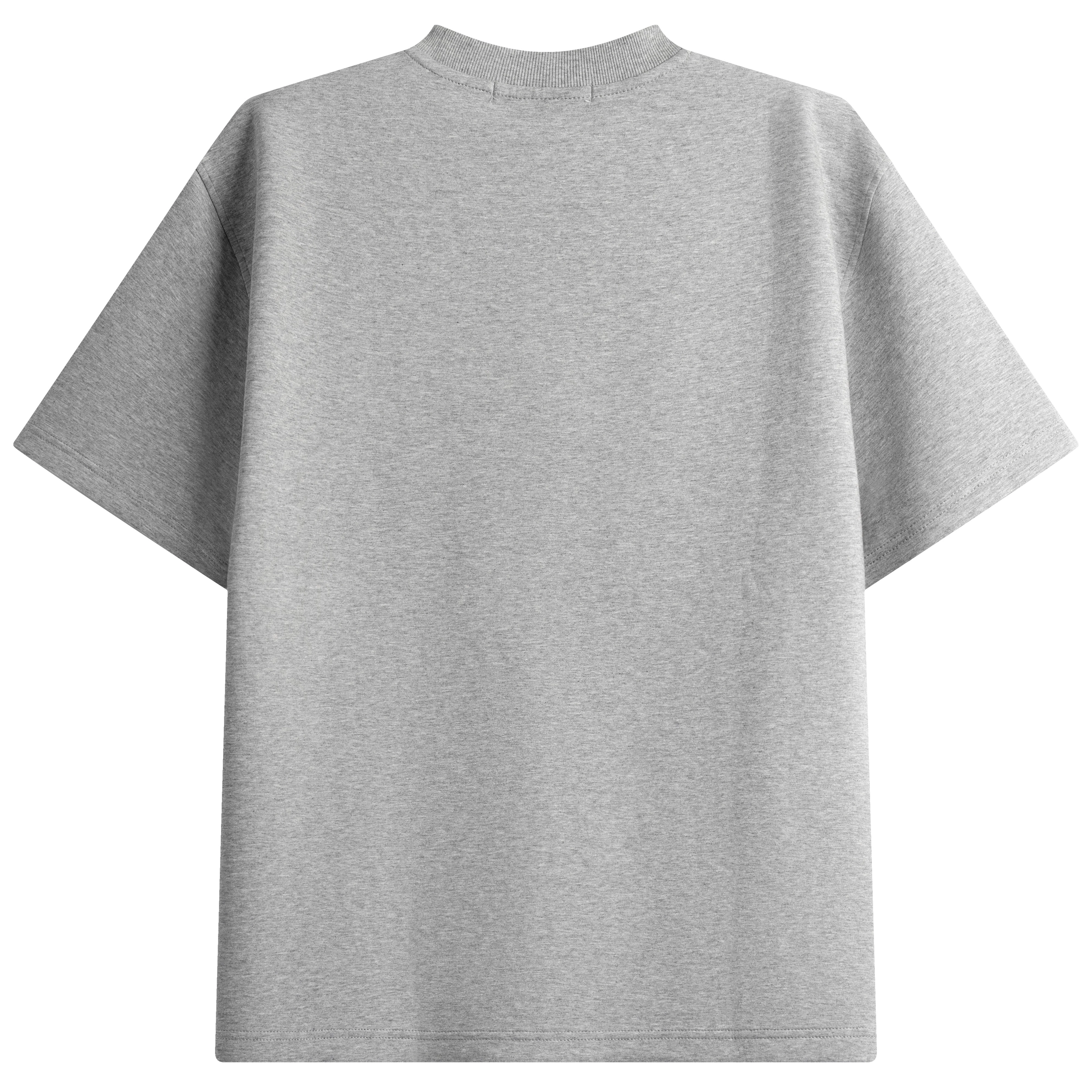 DBW DOUBLEWIN T