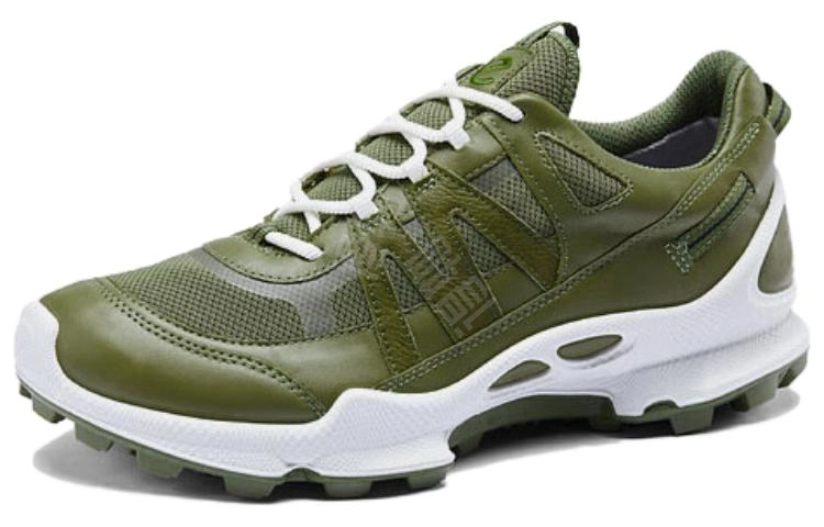 ecco C