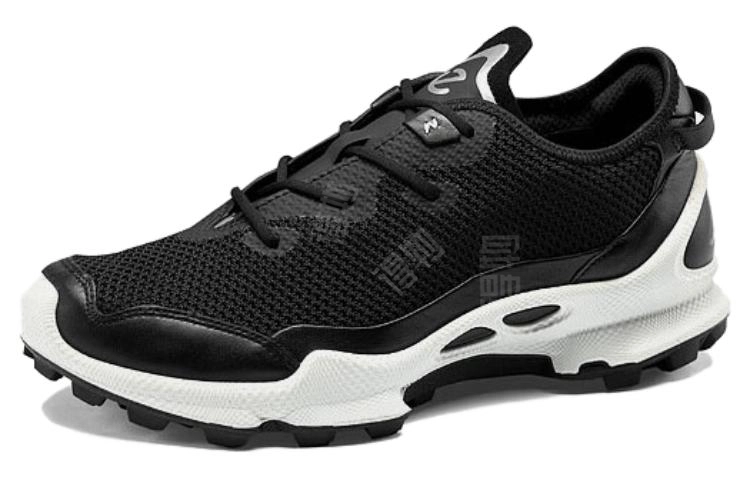ecco C