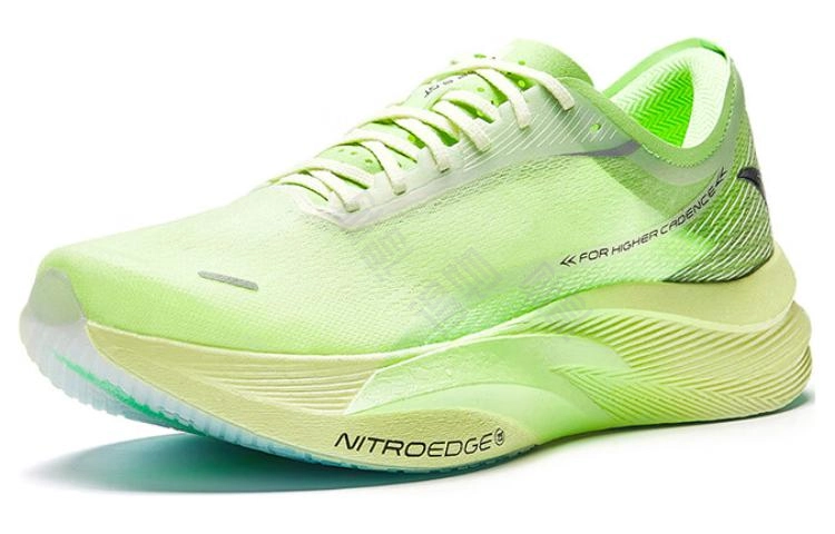 Anta C202 5 GT