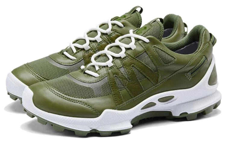 ecco C