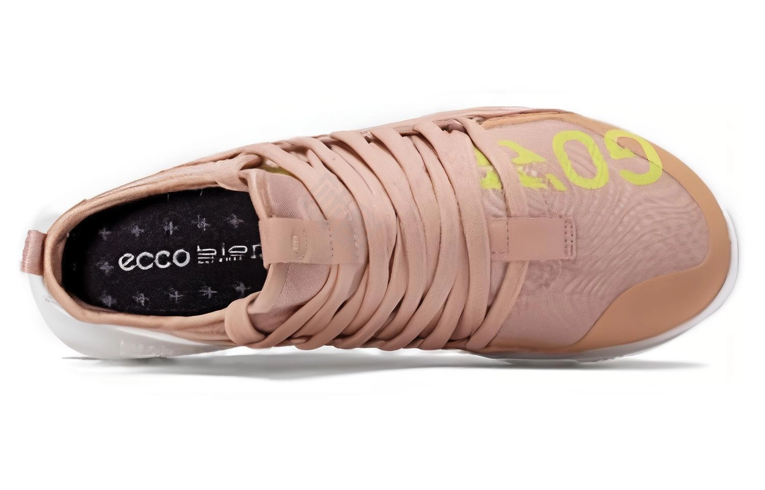 ecco 2.0
