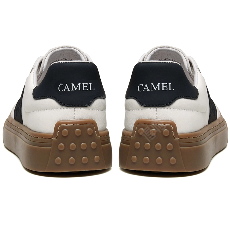 CAMEL