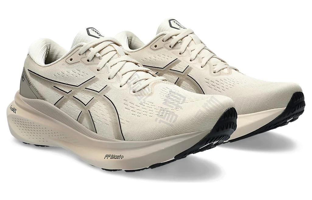 Asics Gel-Kayano 30