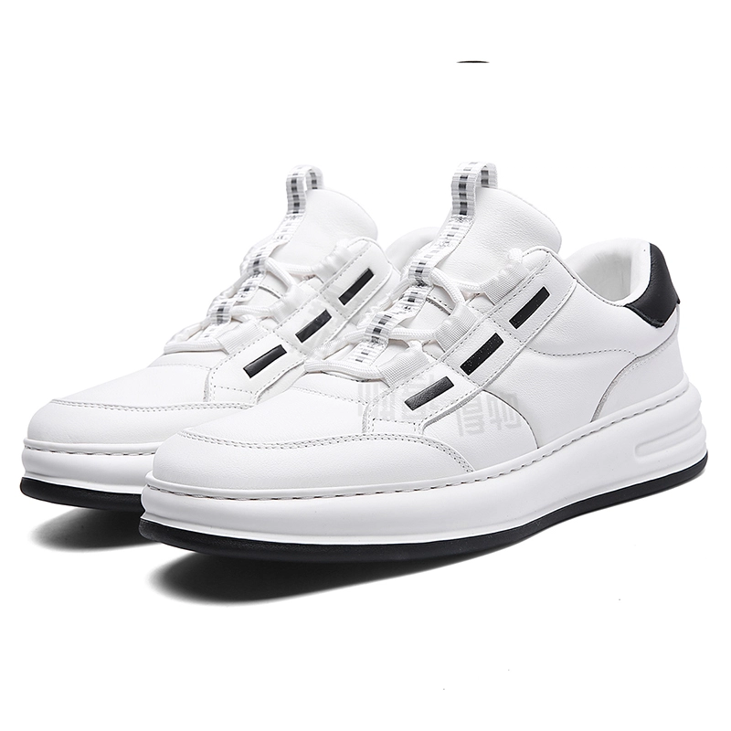 AQUASCUTUM