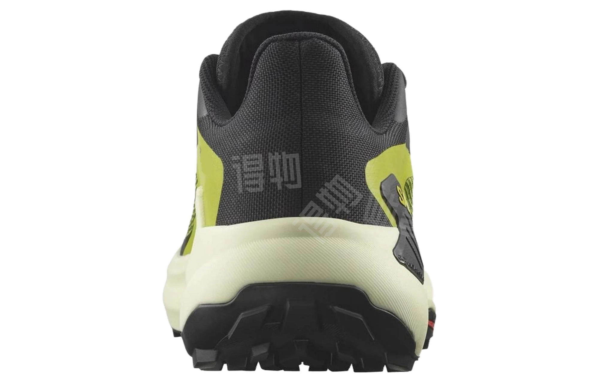 SALOMON Genesis