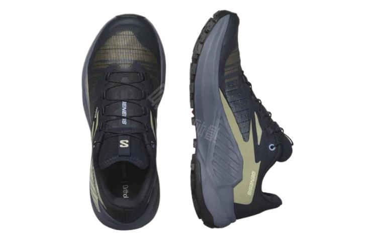 SALOMON GENESIS