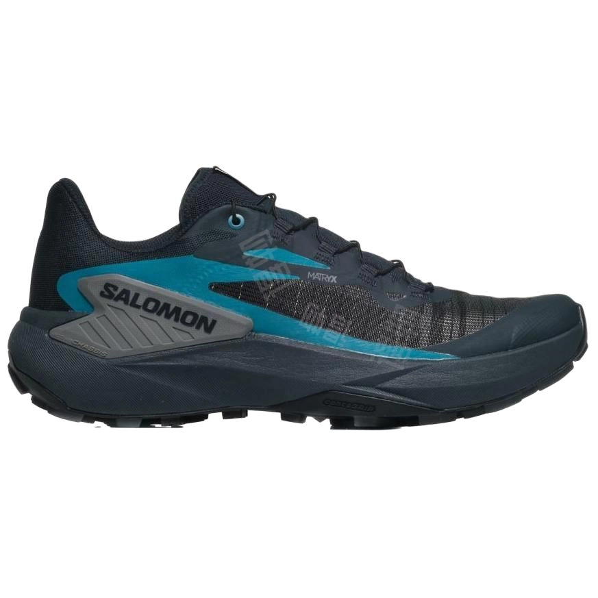 SALOMON Genesis