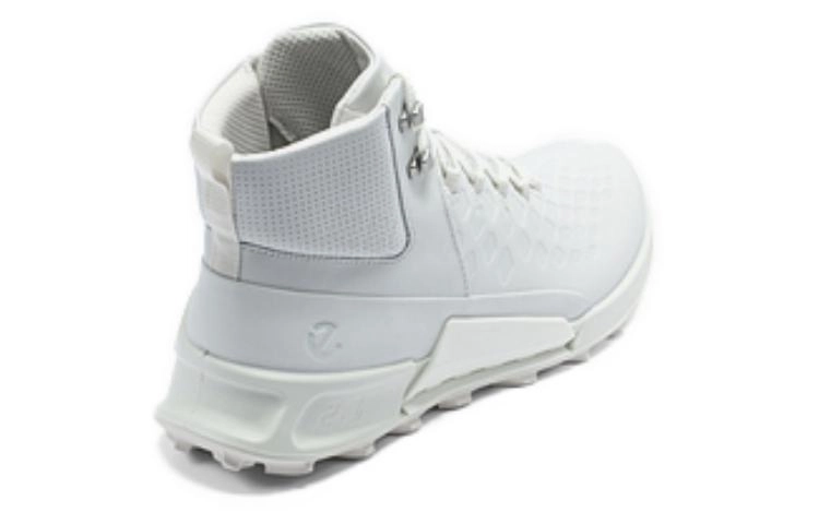 ecco 2.1