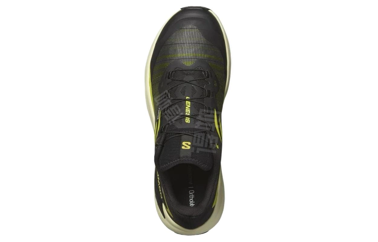 SALOMON Genesis