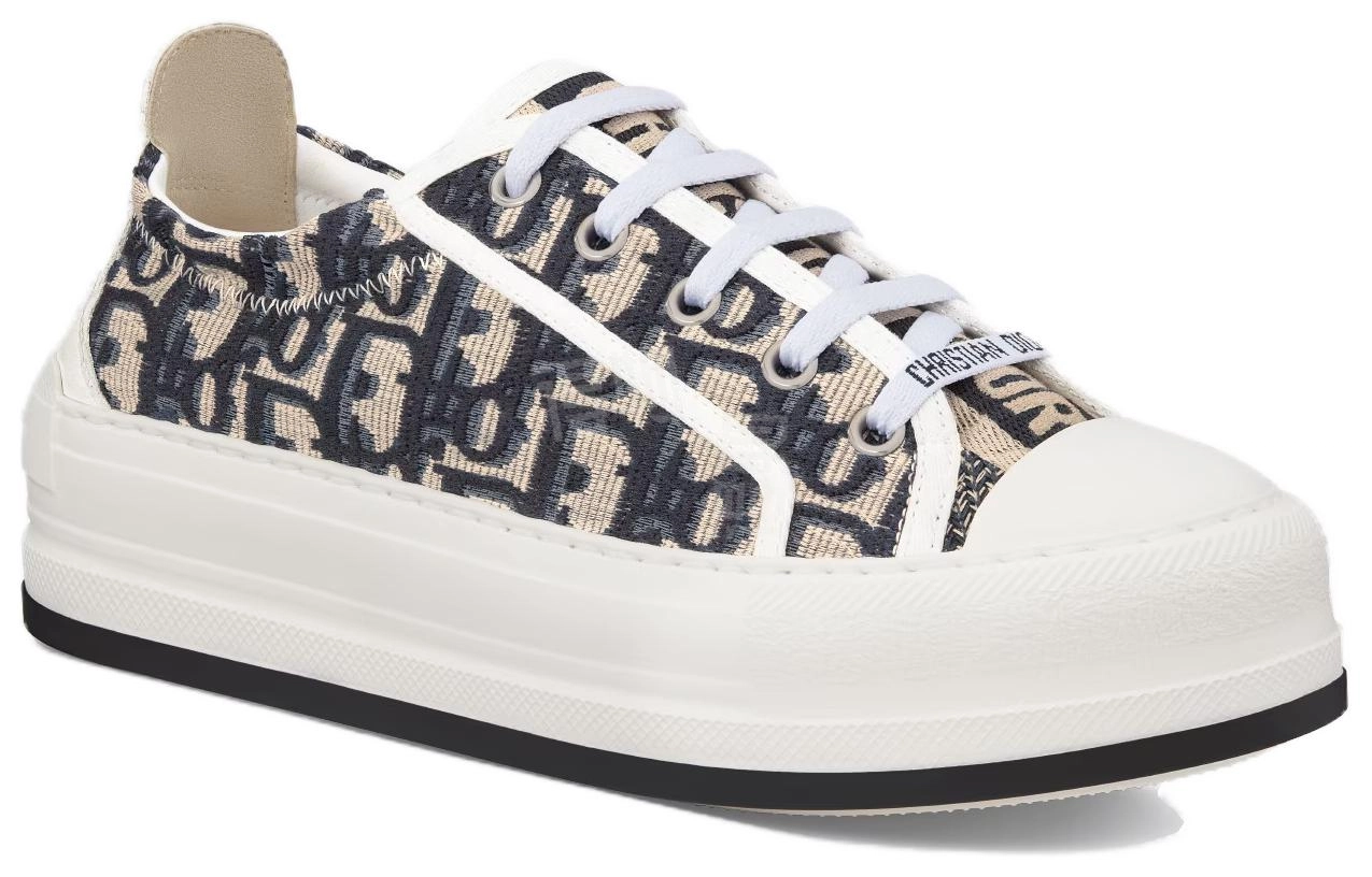DIOR Walk'n'Dior Oblique