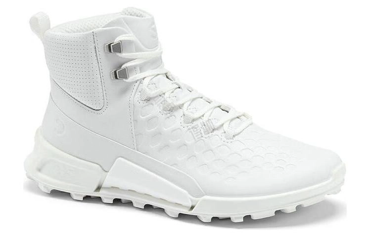 ecco 2.1