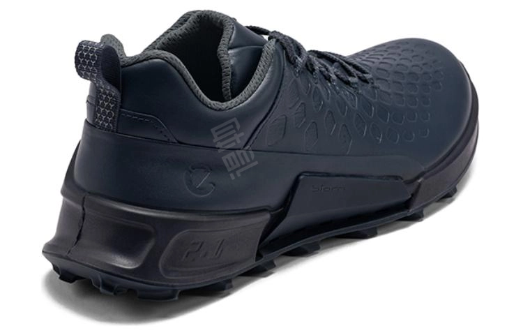 ecco 2.1