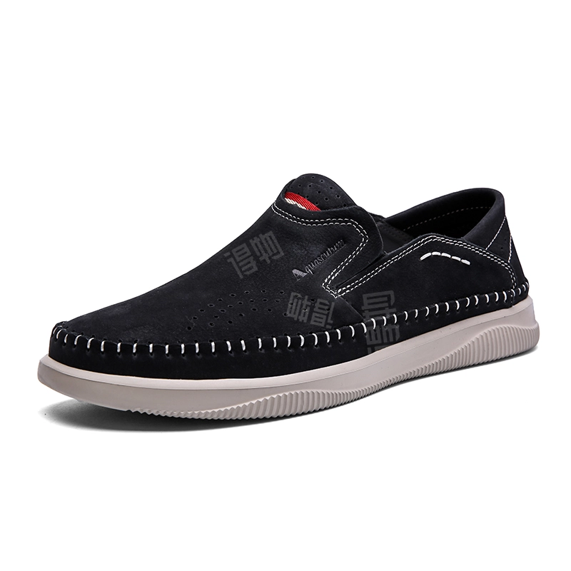AQUASCUTUM