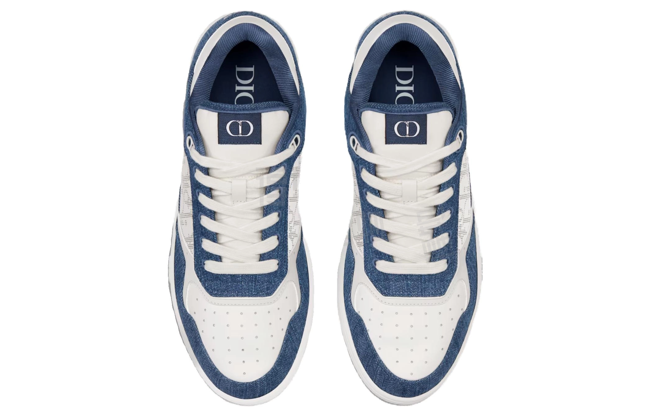 DIOR B27