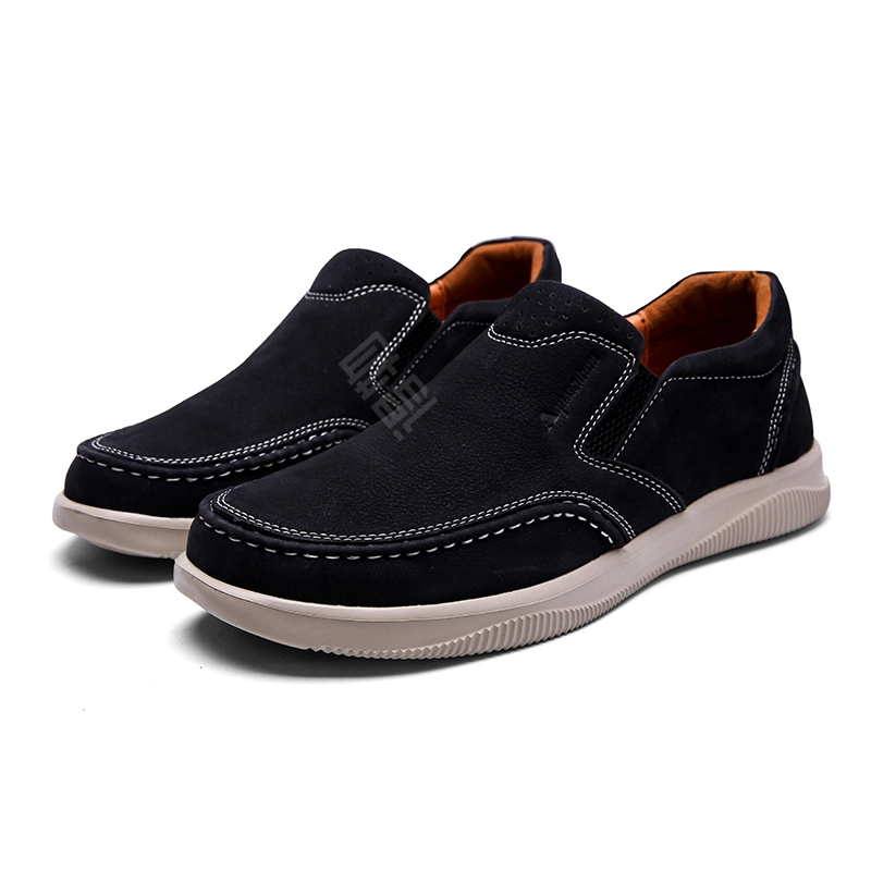 AQUASCUTUM