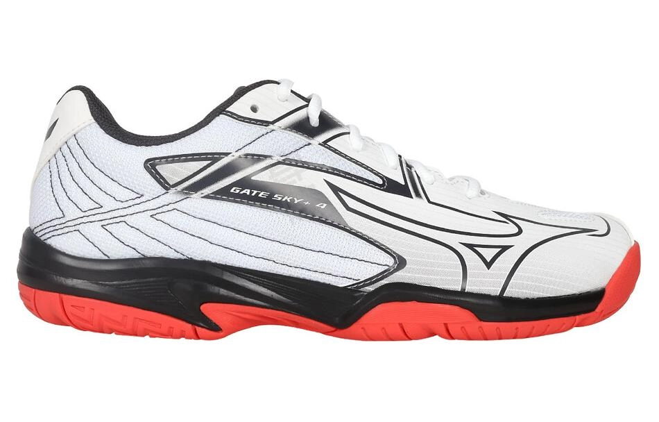 Mizuno