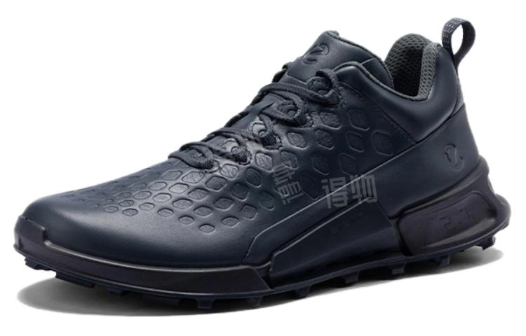 ecco 2.1
