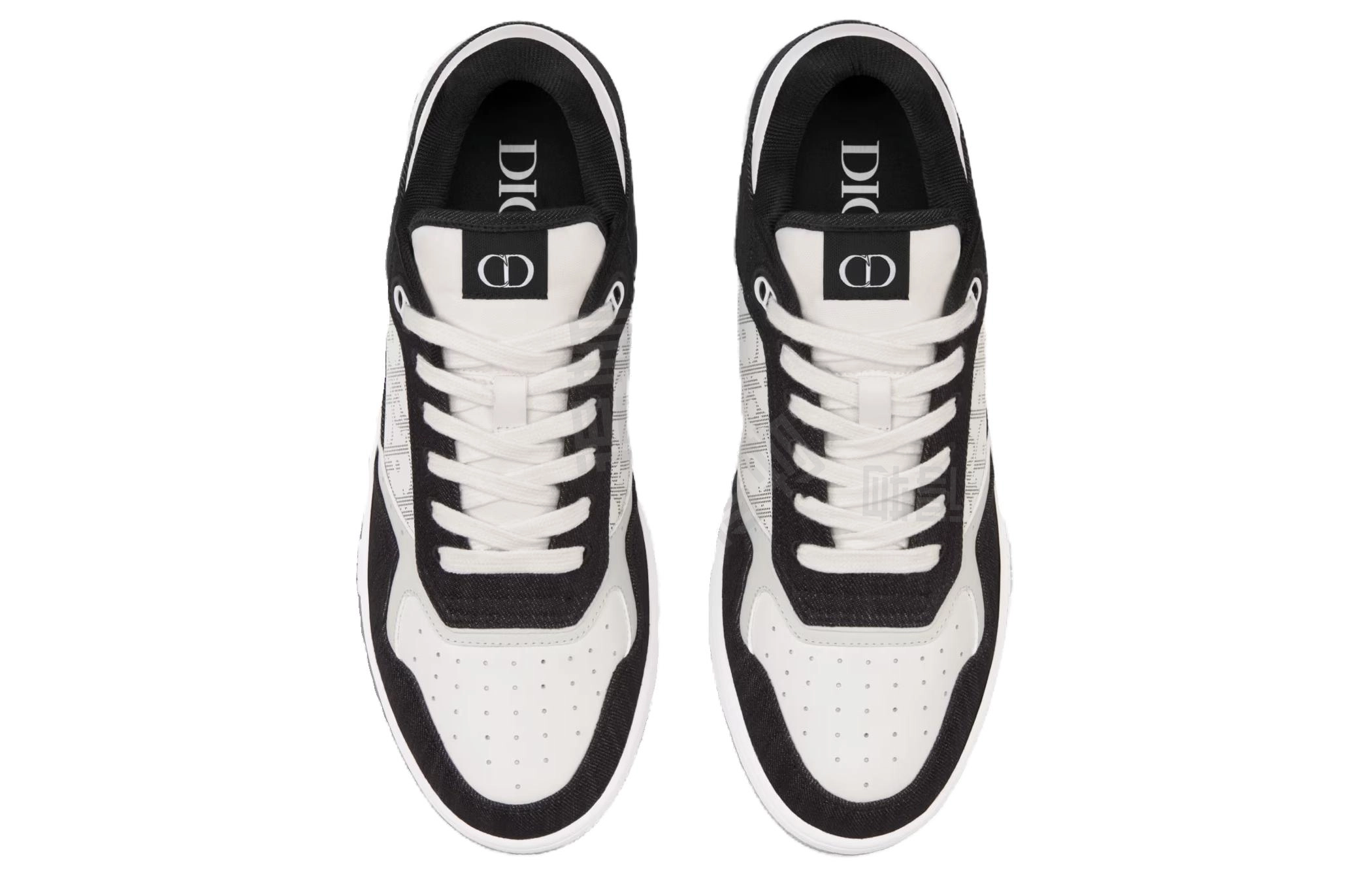 DIOR B27