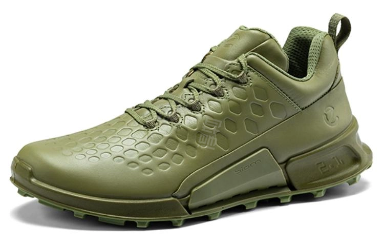 ecco 2.1