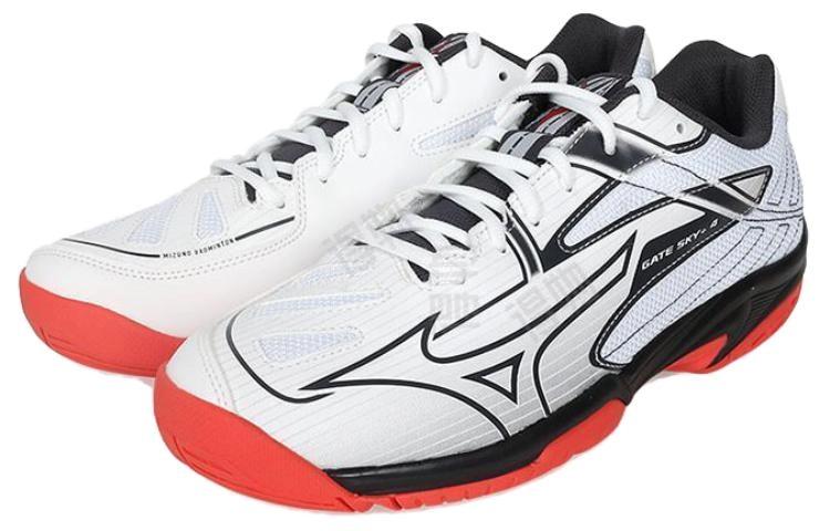 Mizuno