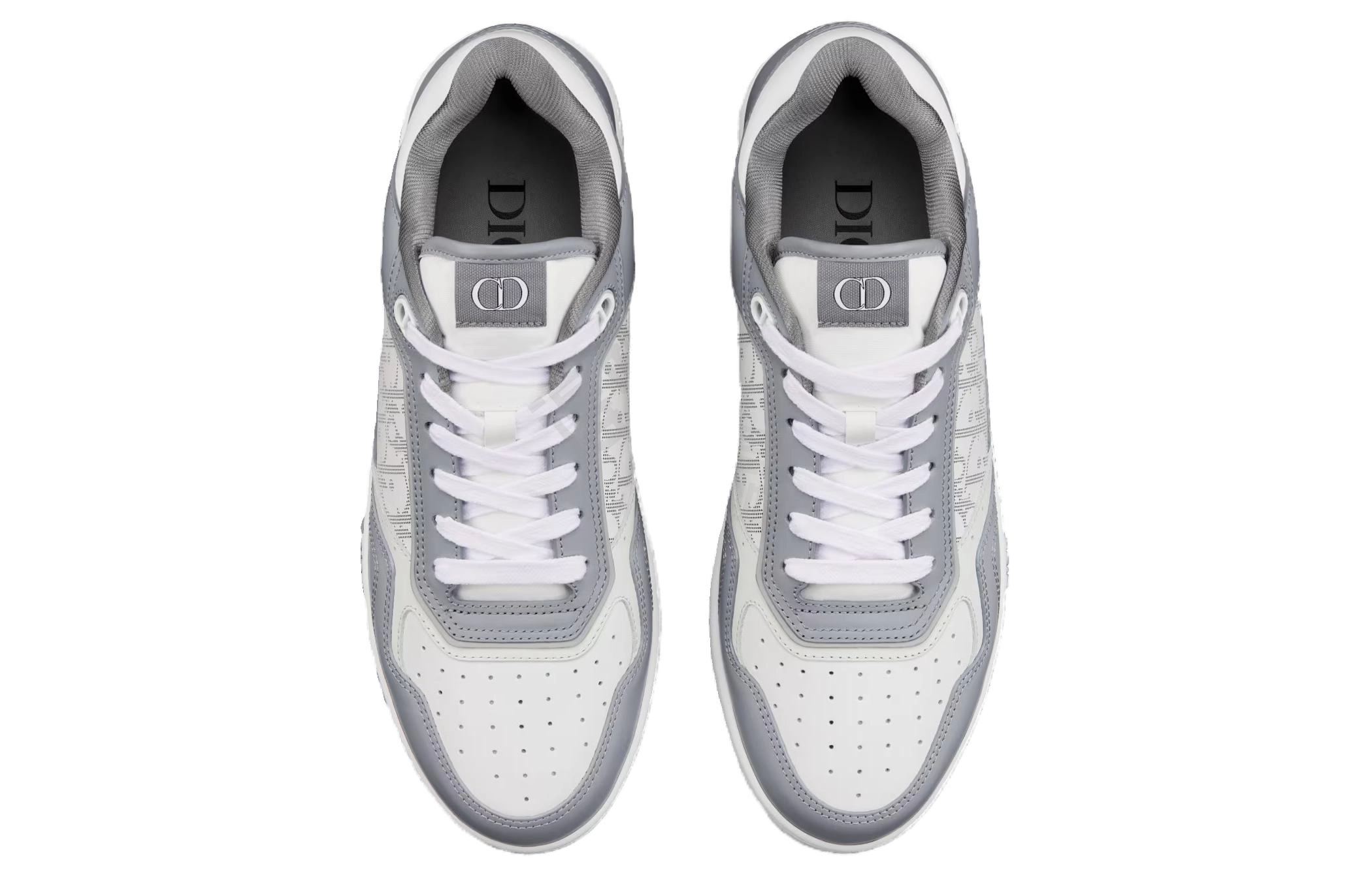 DIOR B27