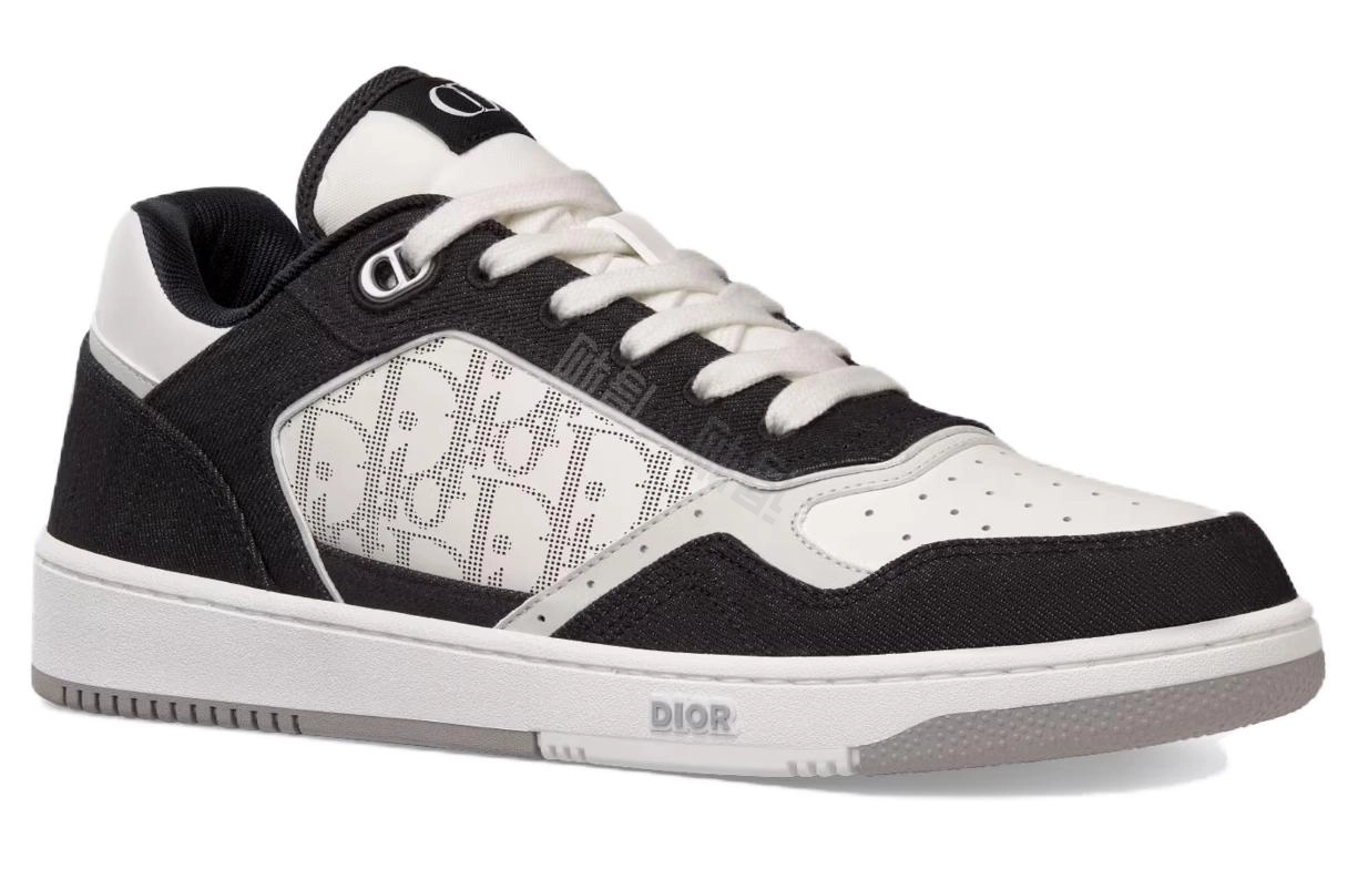 DIOR B27