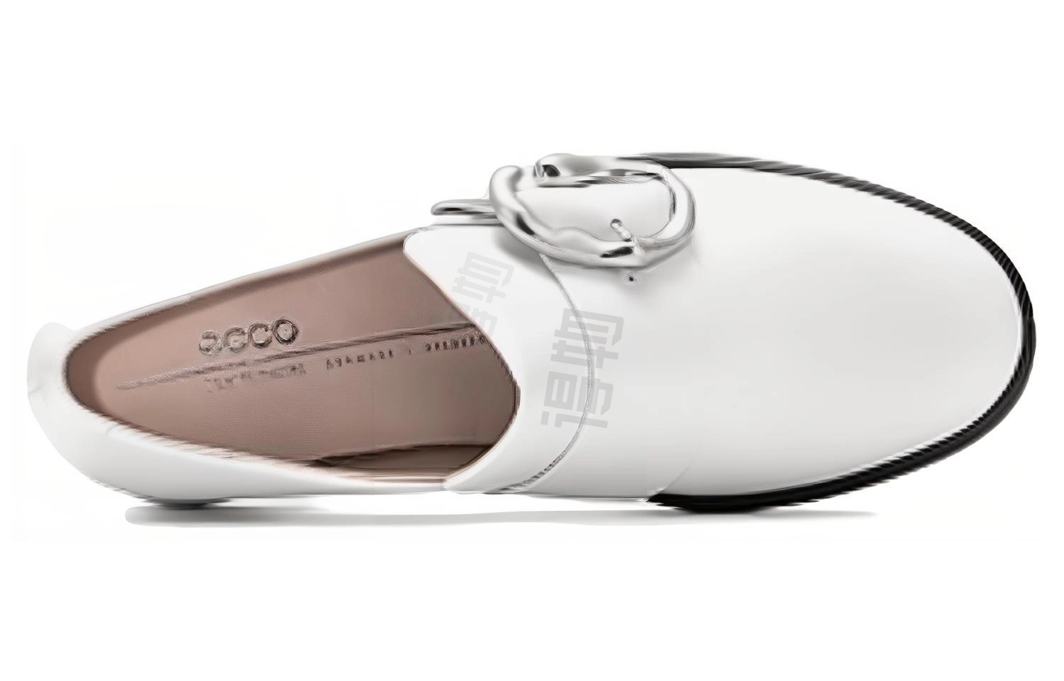 ecco 6.5cm