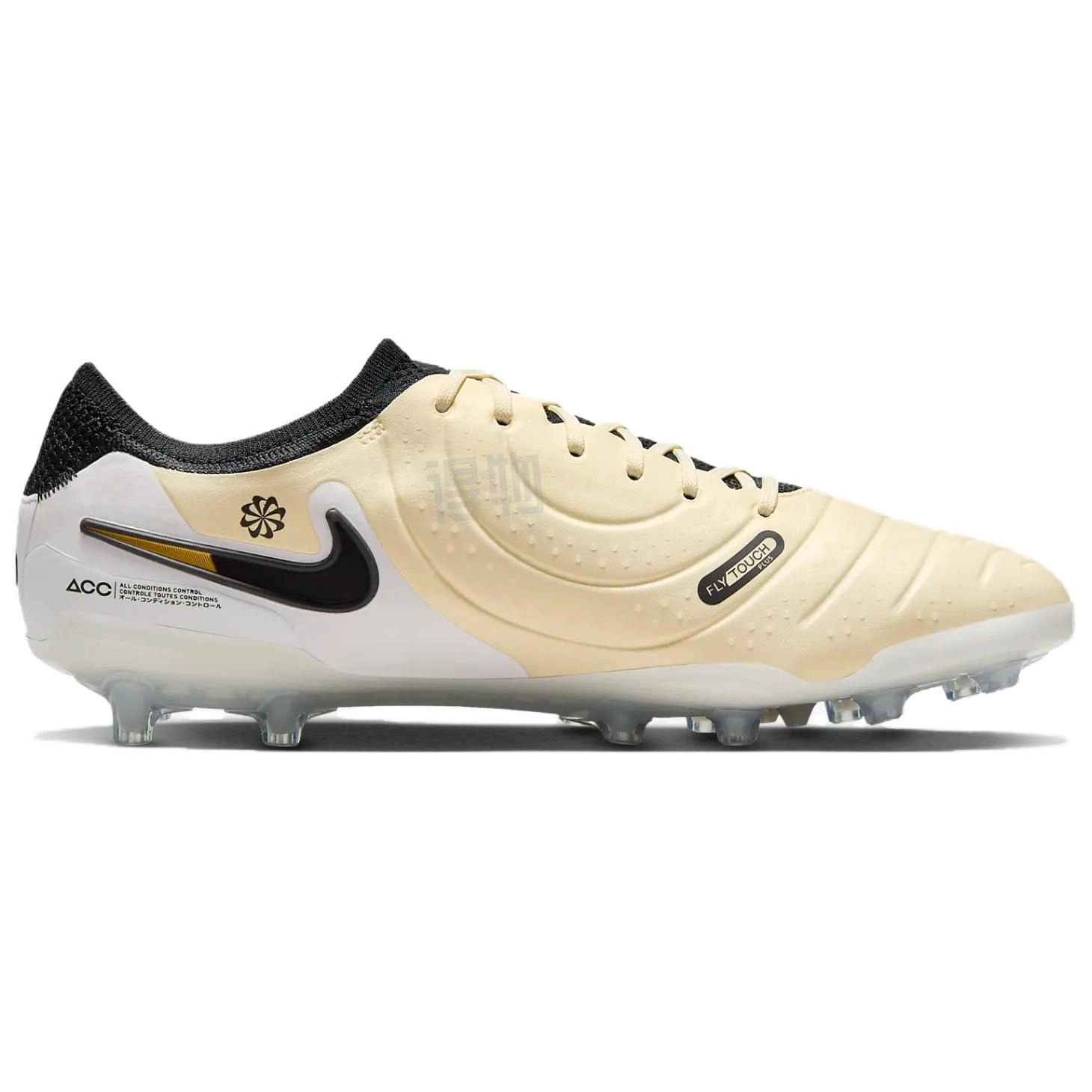 Nike Tiempo Legend 10 AG