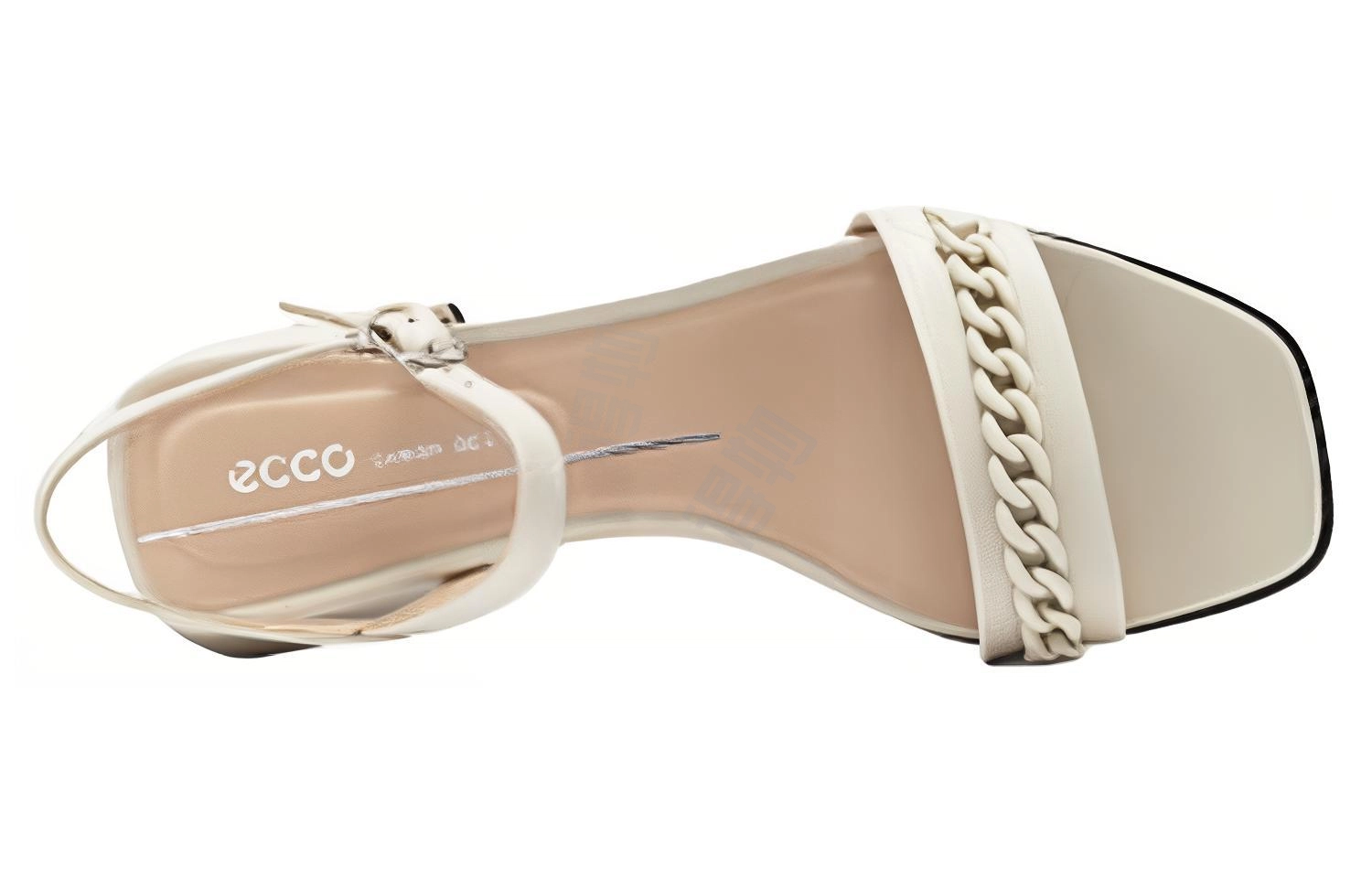 ecco 3.5cm