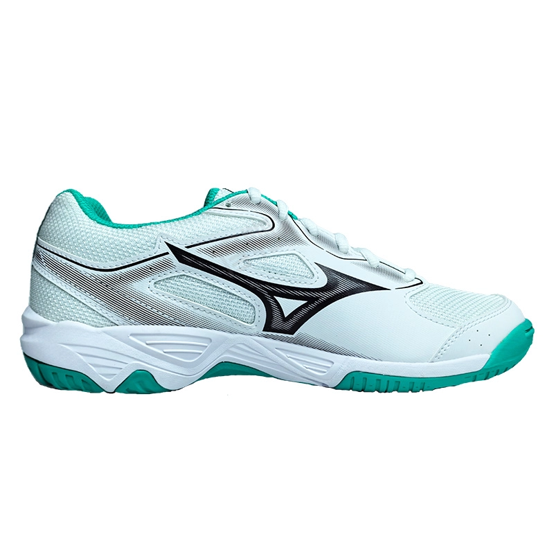 Mizuno