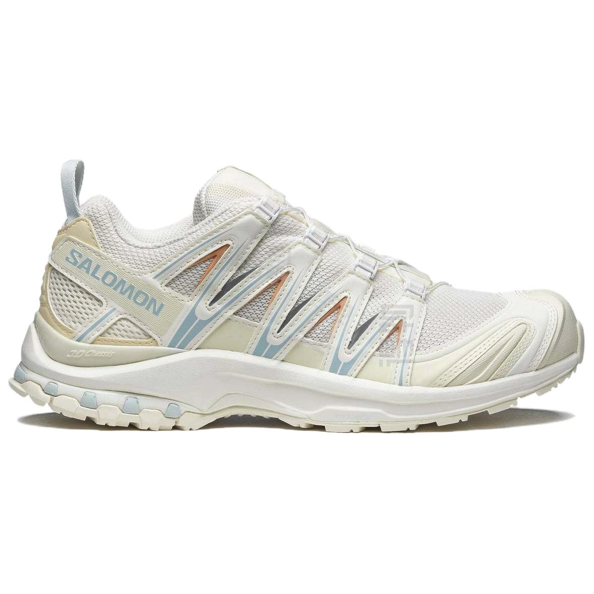 SALOMON XA Pro 3D