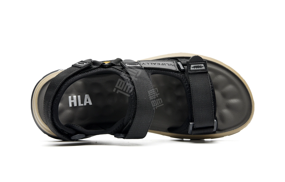 HLA 2024