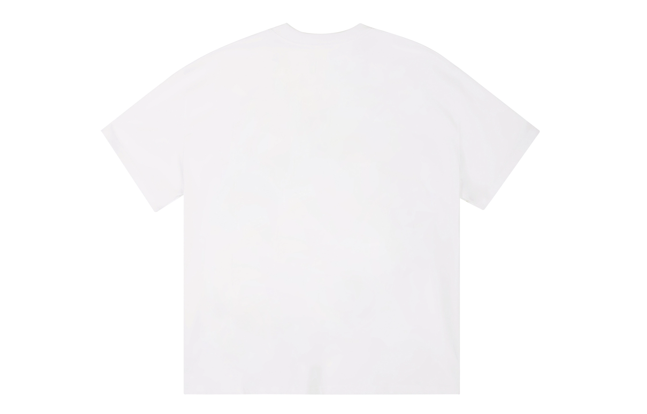 ICONS Lab ICS T
