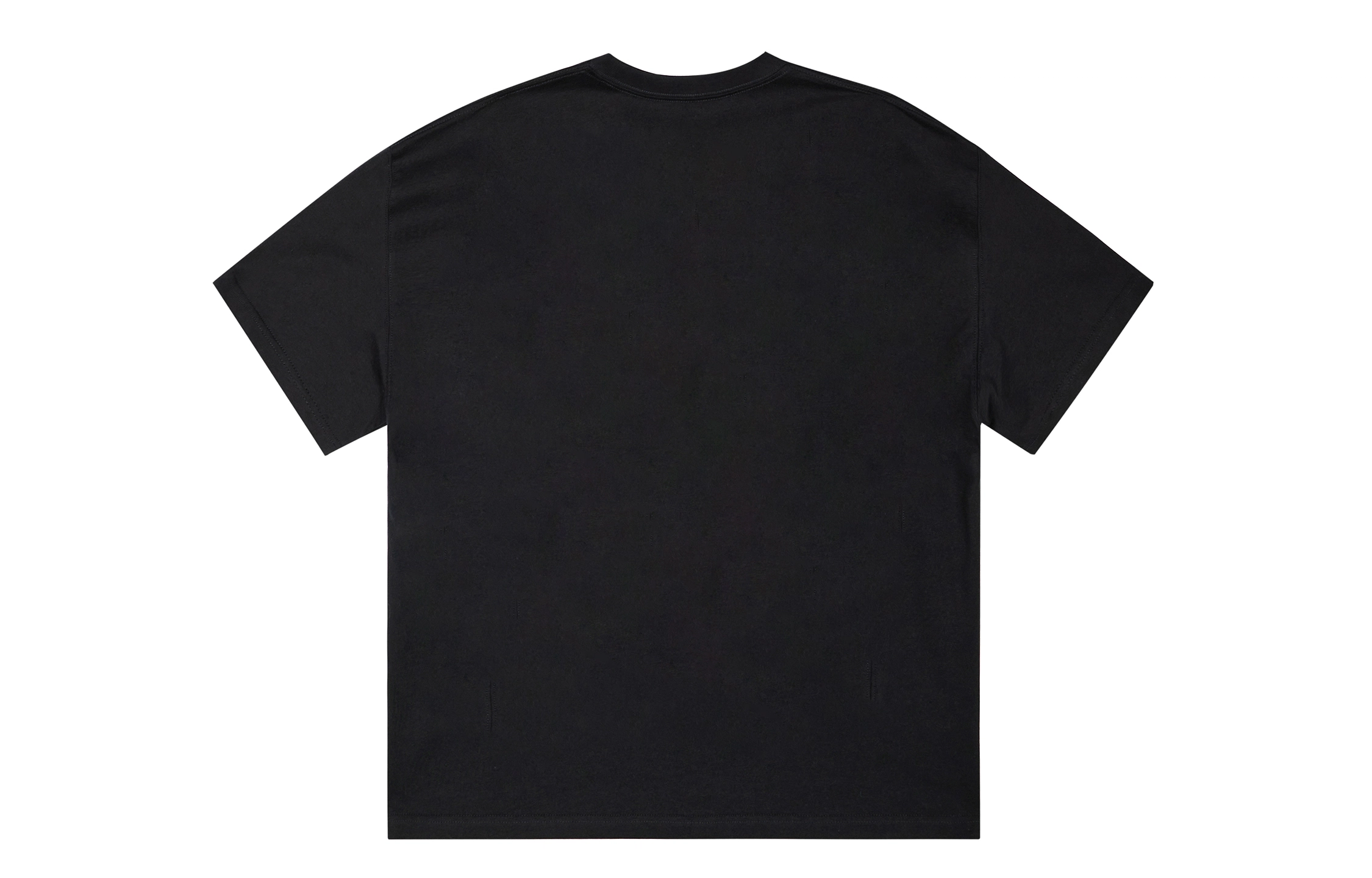 ICONS Lab ICS T
