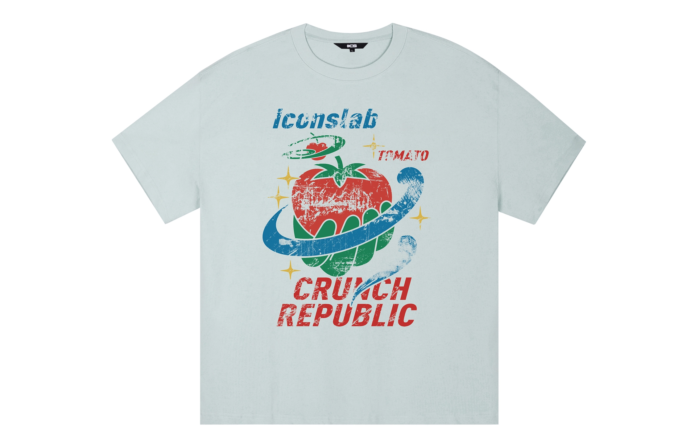 ICONS Lab ICS T