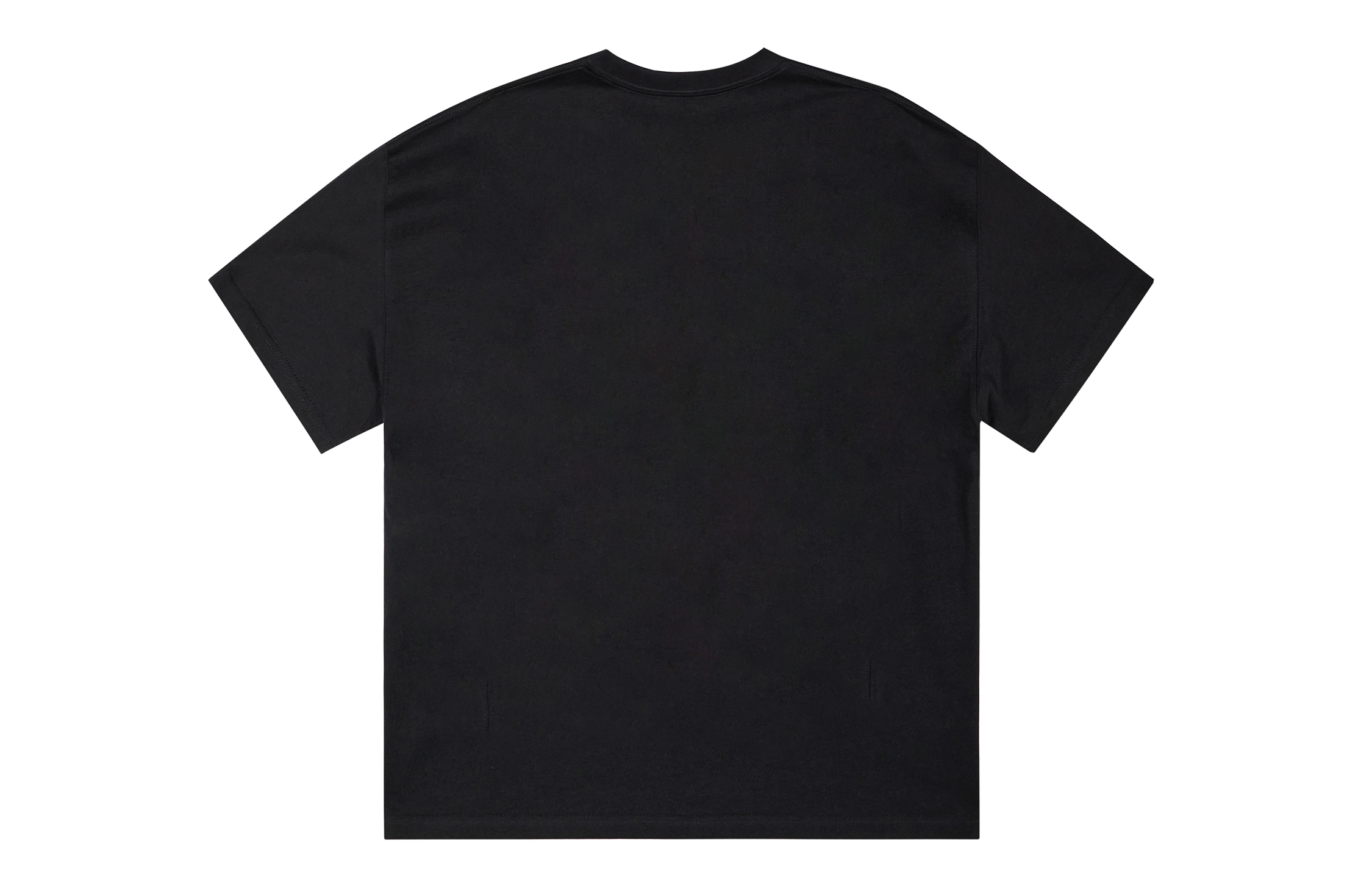ICONS Lab ICS T