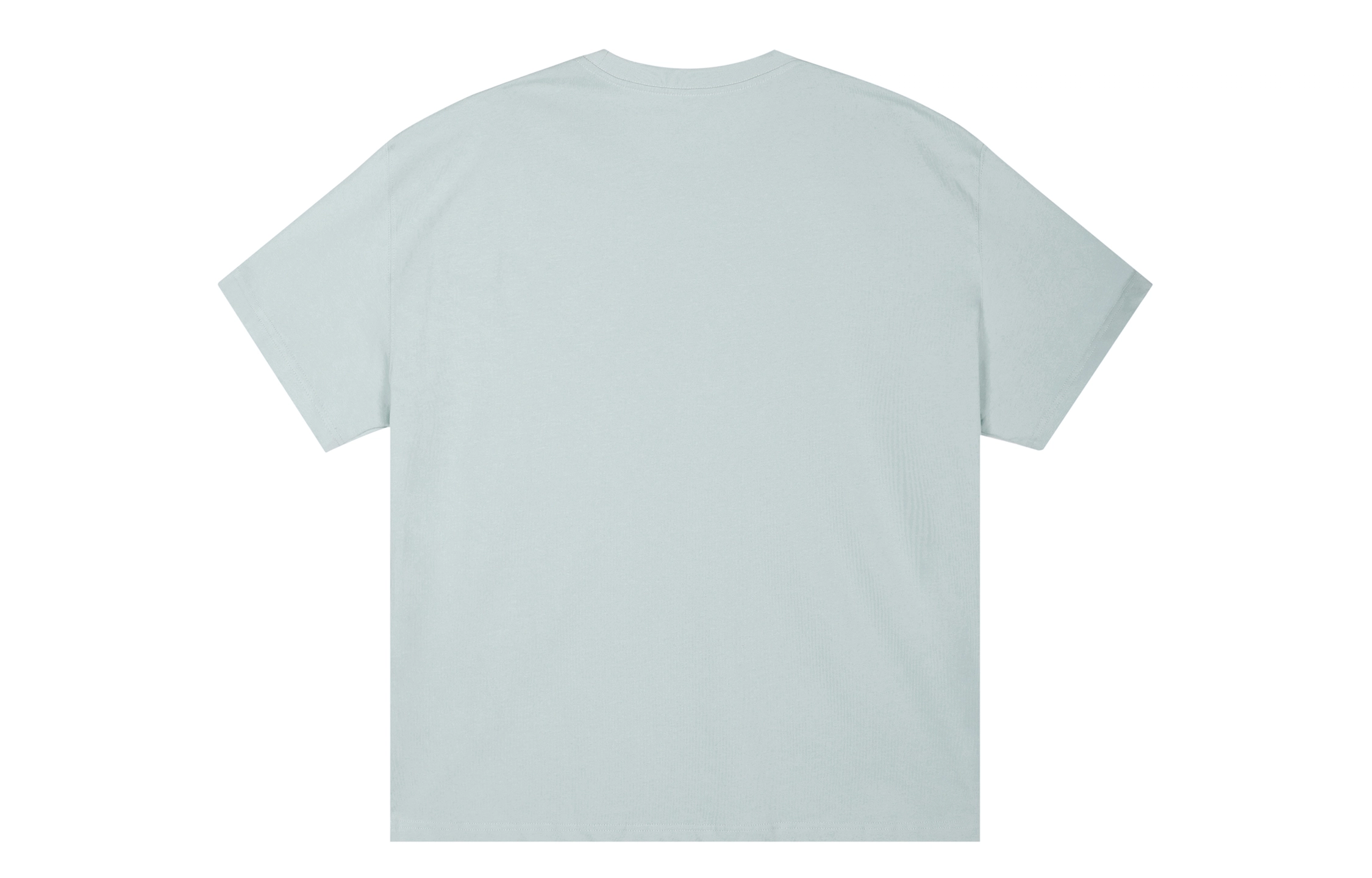 ICONS Lab ICS T